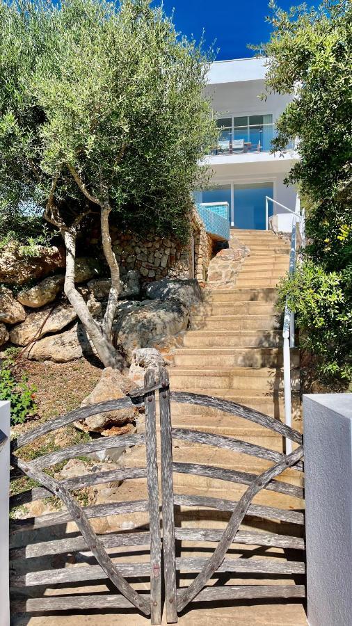 Villas Tin Coves Noves Punta Grossa Kültér fotó